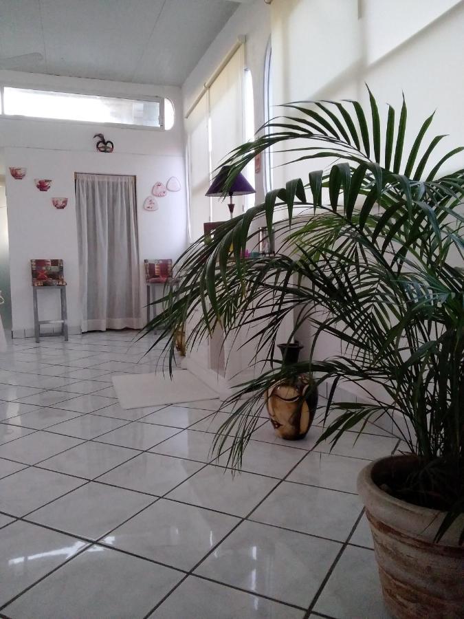 Boutique Basic Hotel Puerto Vallarta Zewnętrze zdjęcie