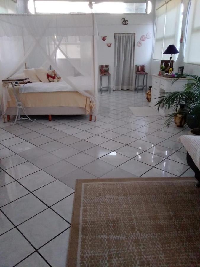 Boutique Basic Hotel Puerto Vallarta Zewnętrze zdjęcie