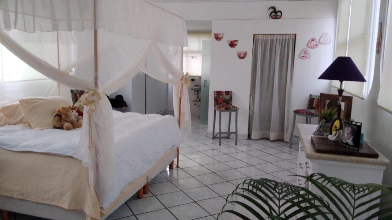 Boutique Basic Hotel Puerto Vallarta Zewnętrze zdjęcie